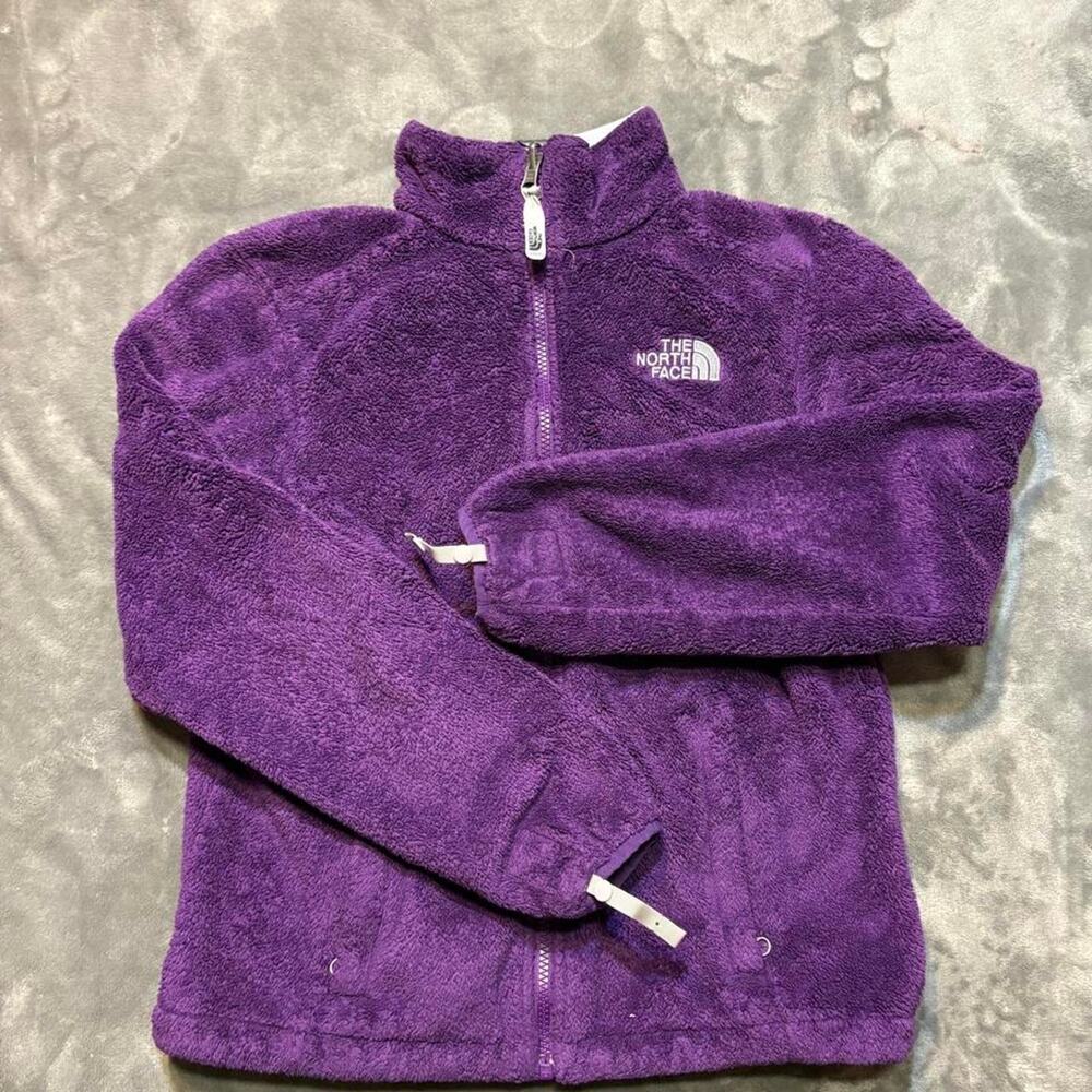 Y2k 00s The North Face purple fleece jacket